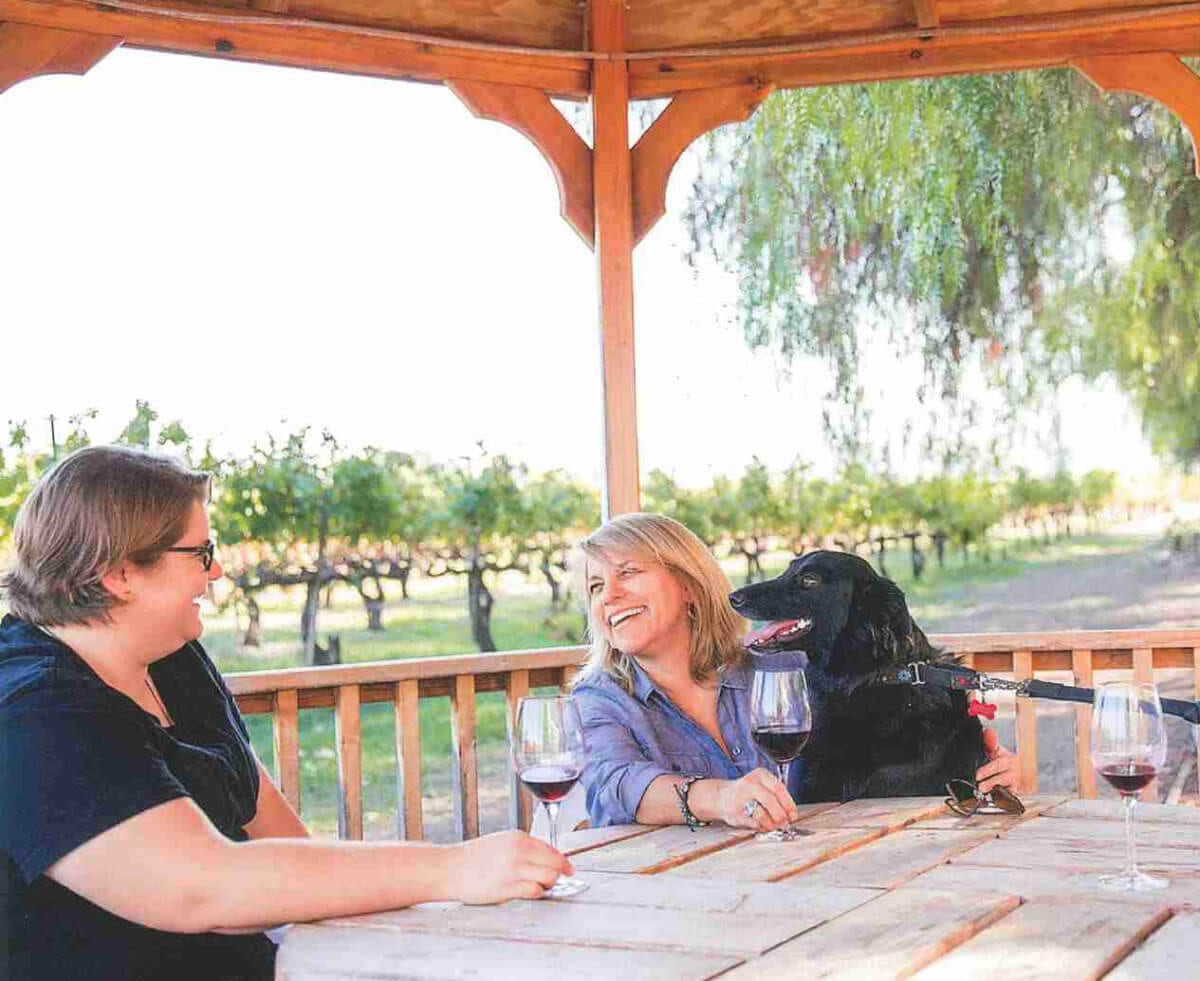 Bella and friends at Retzlaff Winery