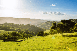 Del Valle Regional Park | Visit Tri-Valley