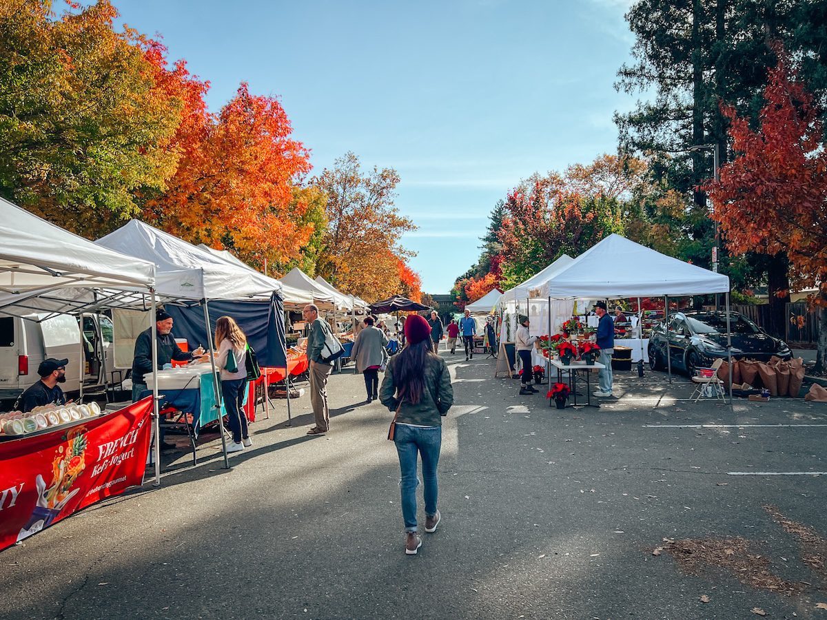 Fall Festivals, Fairs & Markets in the Tri-Valley