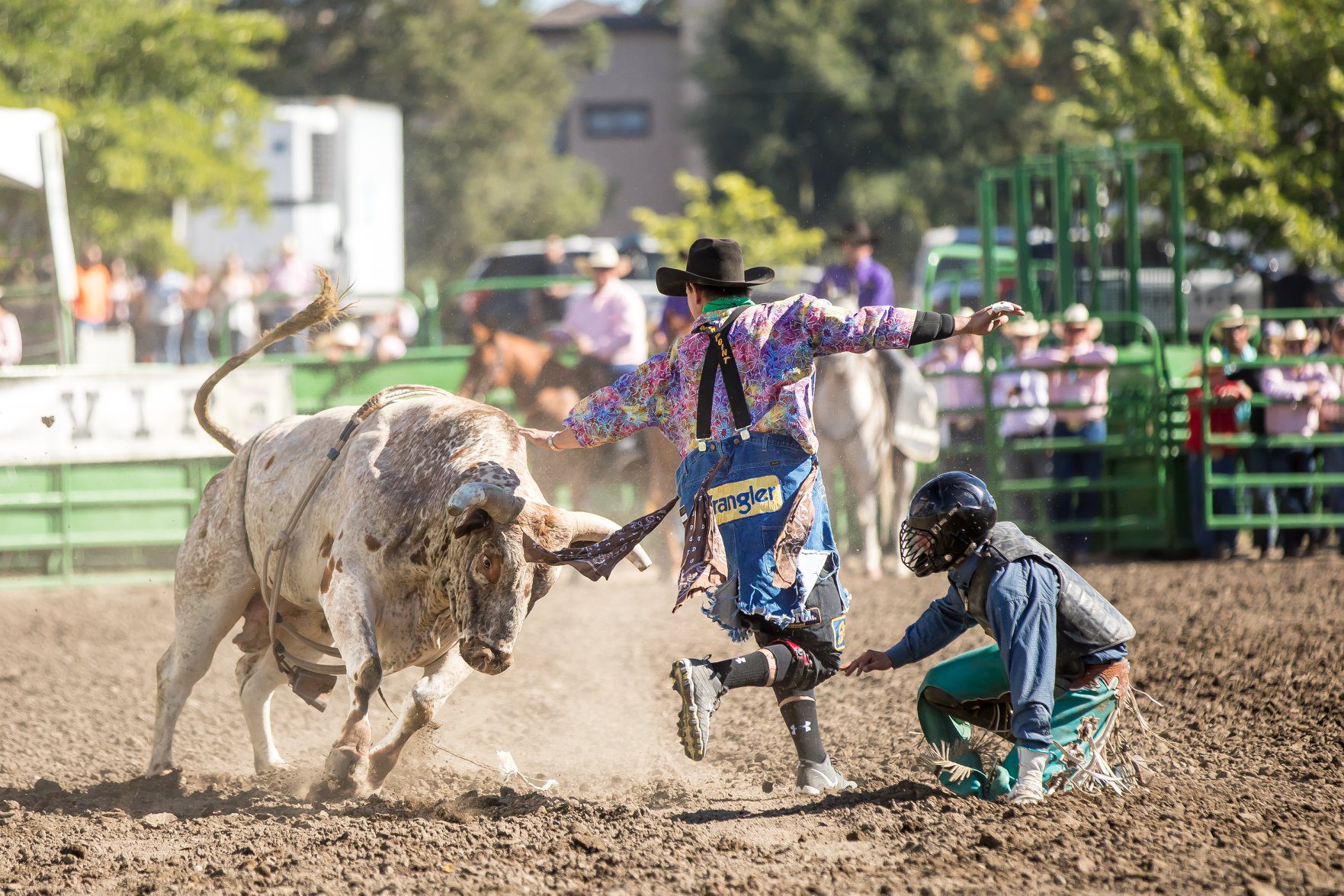 Your Guide to the 2025 Livermore Rodeo