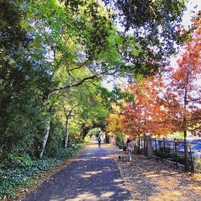 Iron Horse Trail 📸: @travelmamas