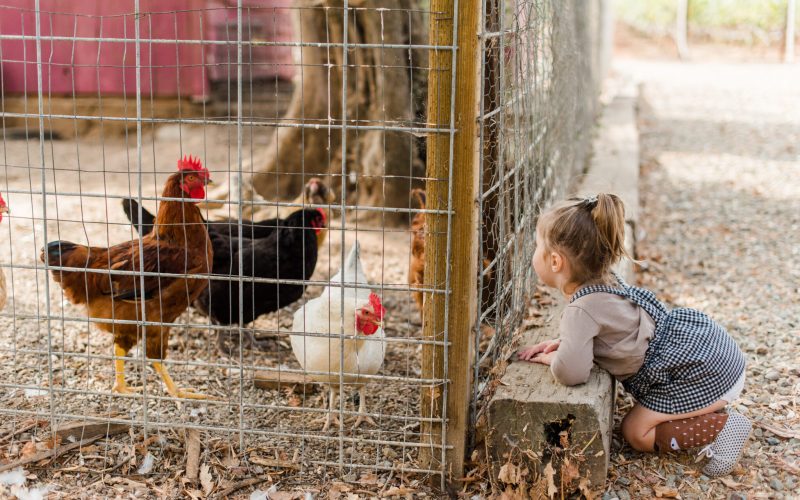 Boa Ventura De Caires Winery