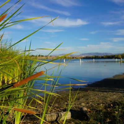 Shadow Cliffs Recreation Area