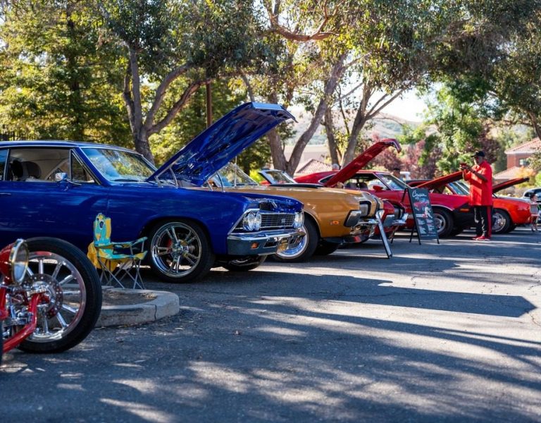 blackhawk-musuem-car-show-4