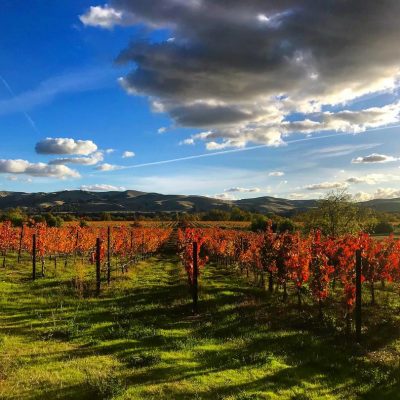 Sycamore Grove Park in Livermore, CA